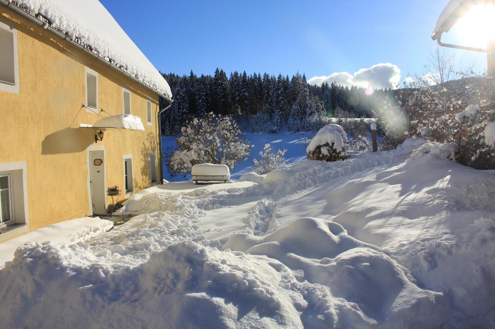Villa Urlaub am Bio-Bauernhof Liebchen Zeutschach Exterior foto
