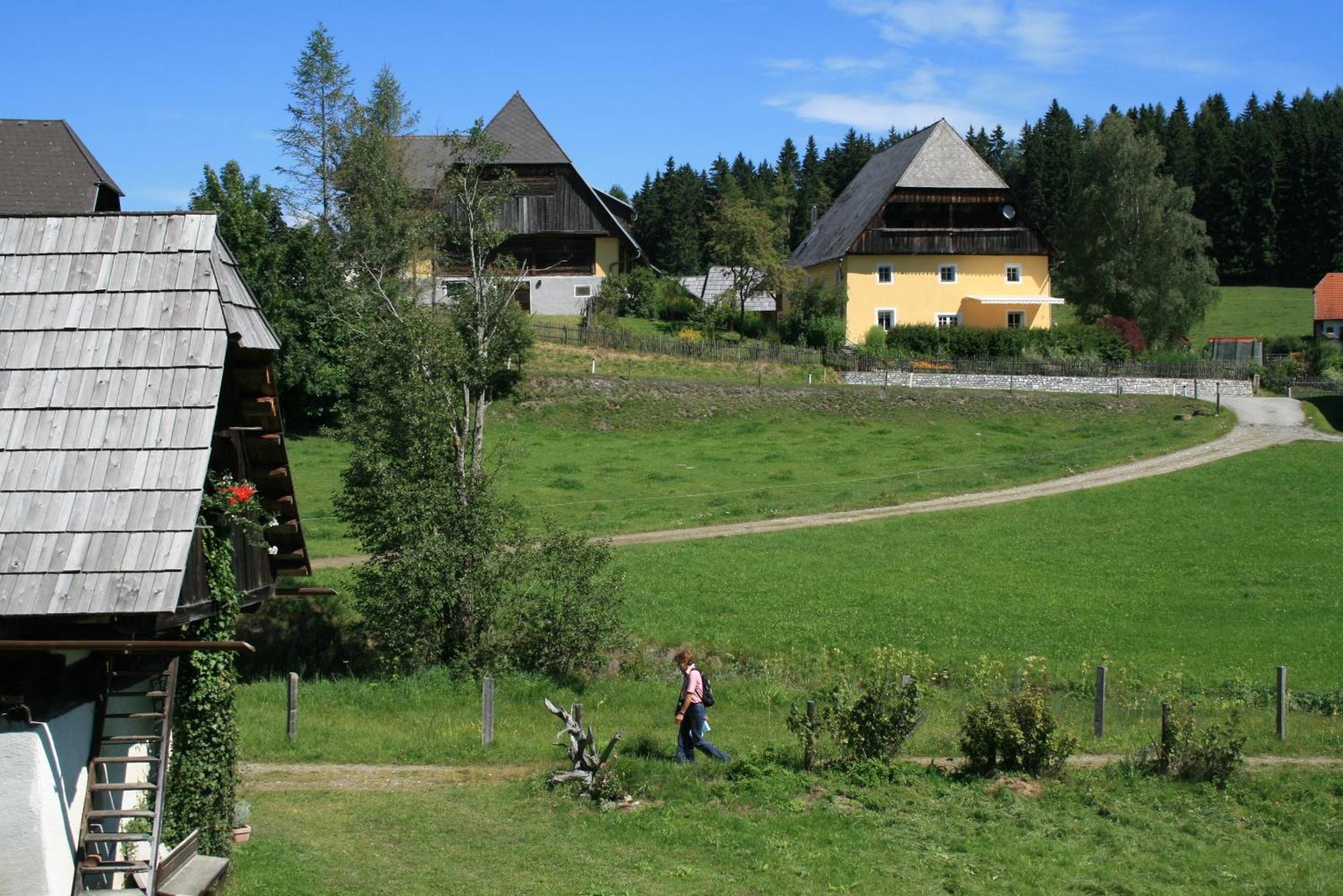 Villa Urlaub am Bio-Bauernhof Liebchen Zeutschach Exterior foto