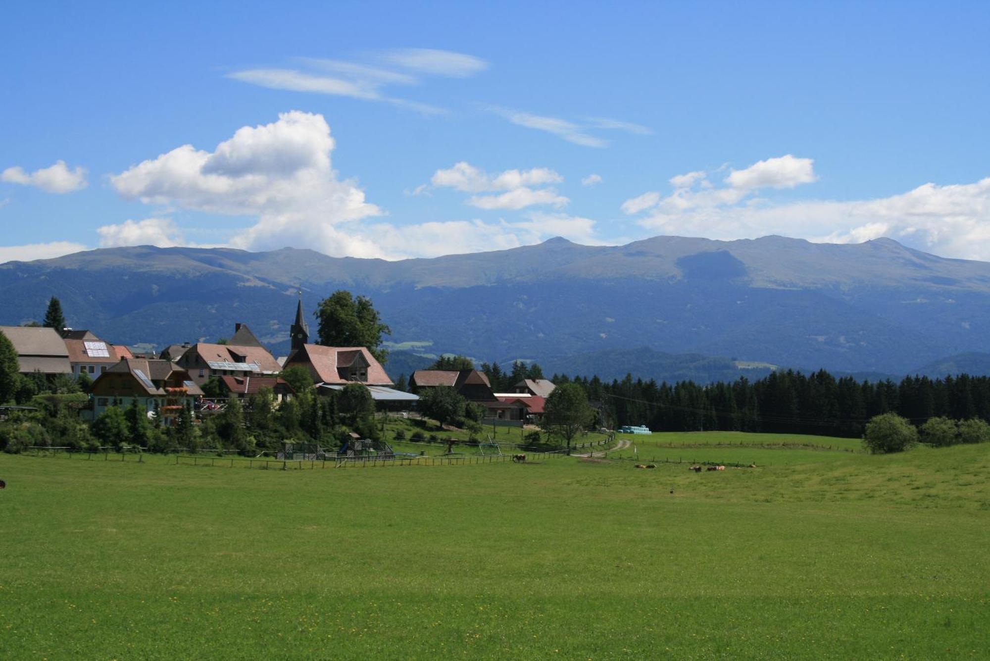 Villa Urlaub am Bio-Bauernhof Liebchen Zeutschach Exterior foto