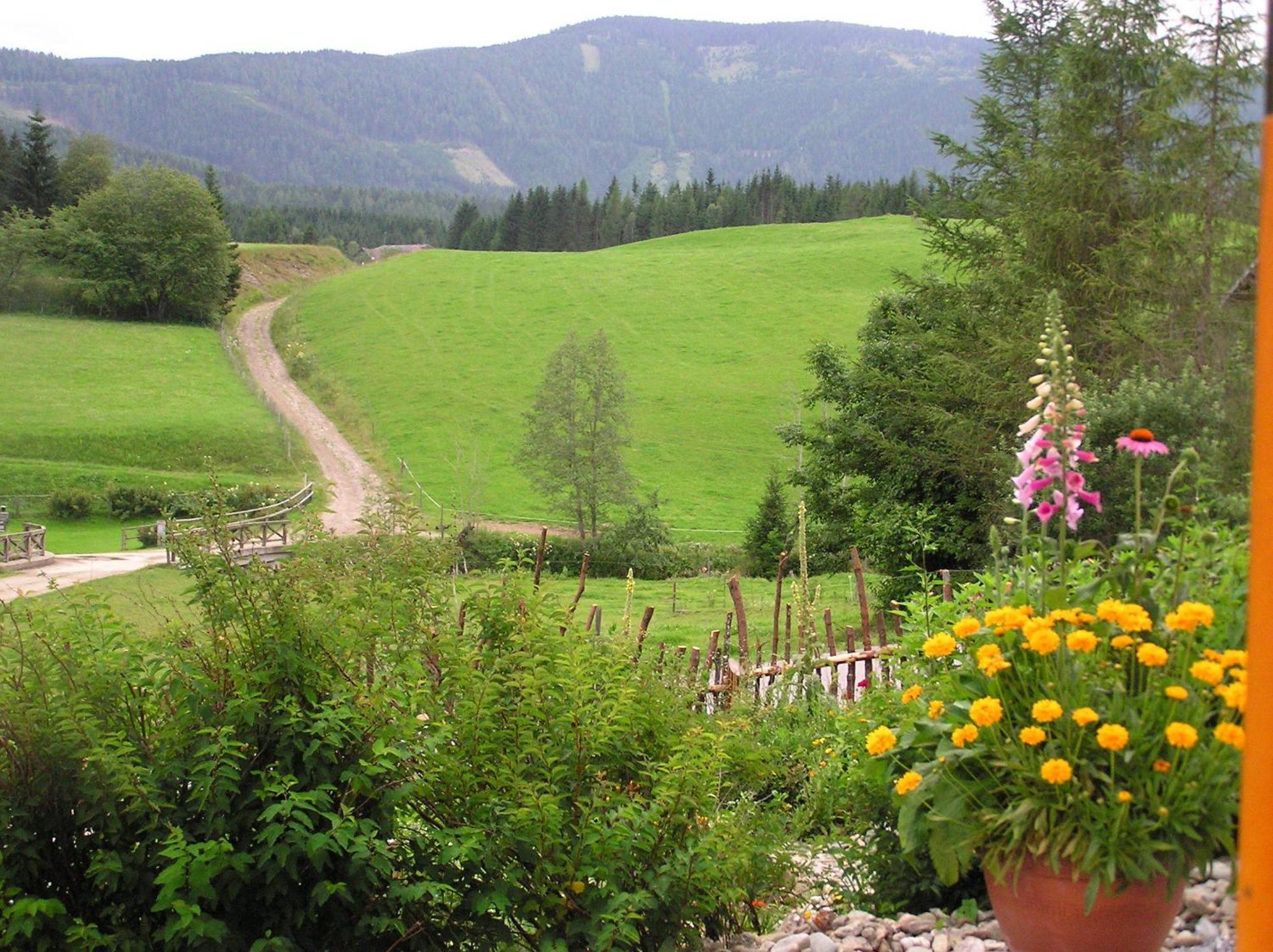 Villa Urlaub am Bio-Bauernhof Liebchen Zeutschach Exterior foto