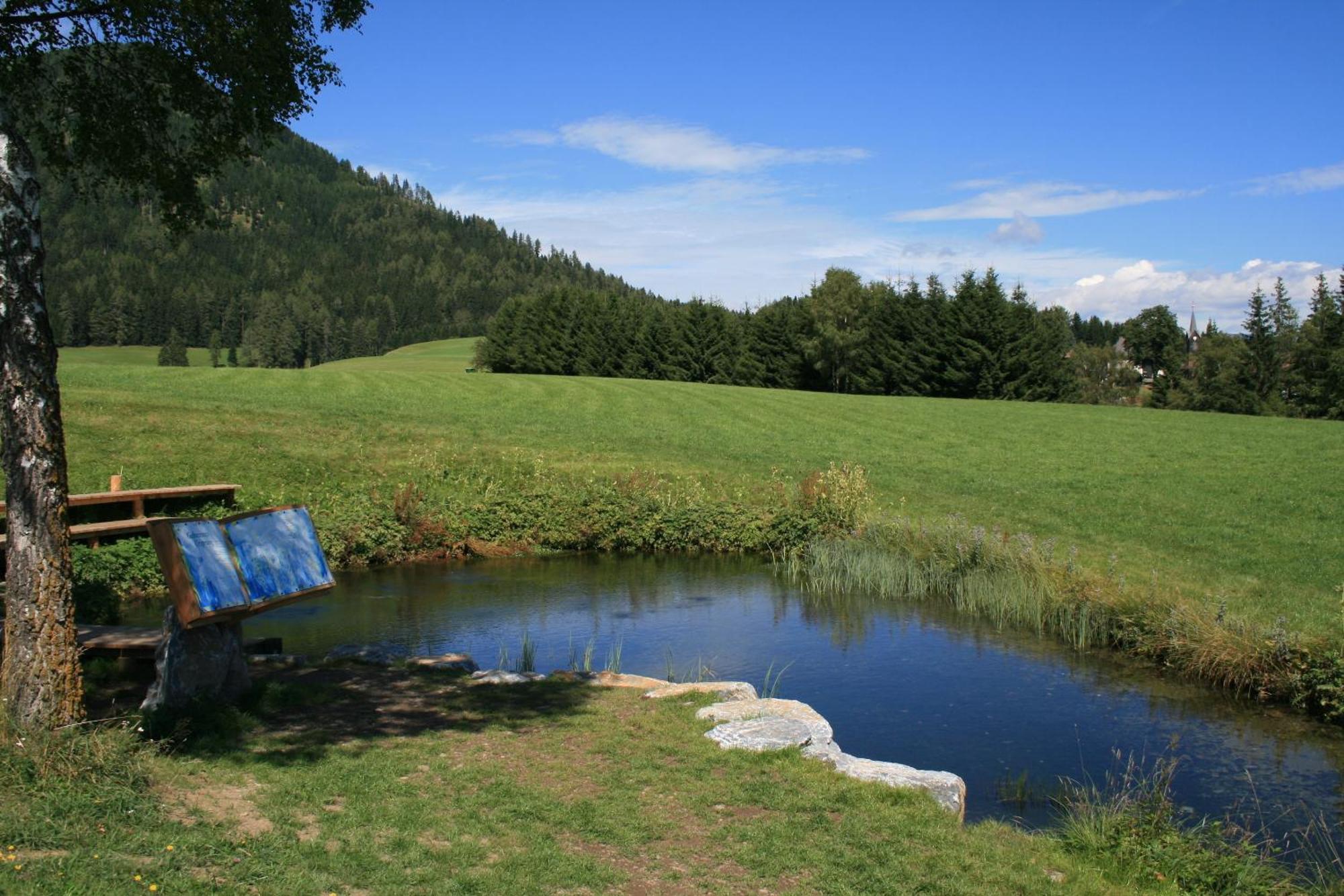 Villa Urlaub am Bio-Bauernhof Liebchen Zeutschach Exterior foto